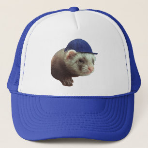 Ferret portant Casquette sur Casquette