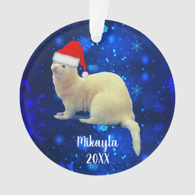 Ferret pour animaux de compagnie blanc à Santa Hat (devant)