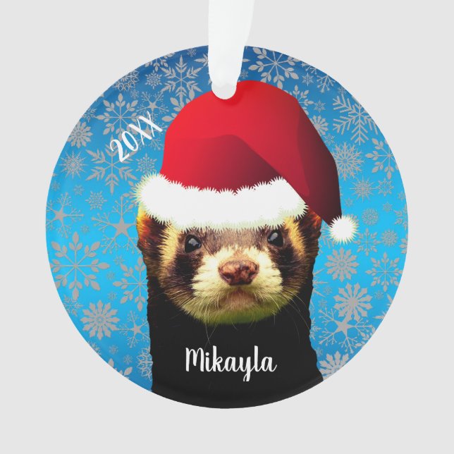 Ferret pour animaux de compagnie en ornement de Sa (devant)