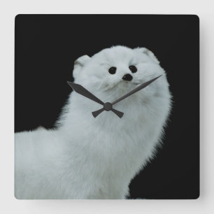Ferret Taxidermy Mount Square Wall Clock