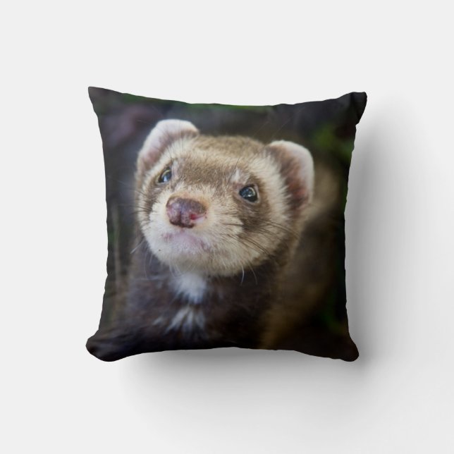 Ferret Throw Pillow (Front)