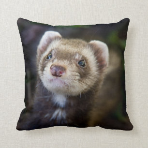 Ferret Throw Pillow