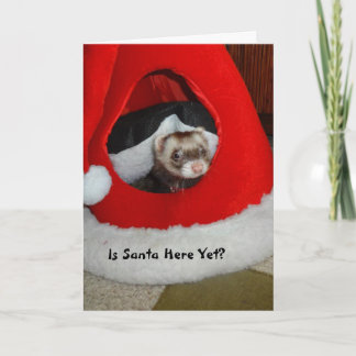 Ferret Waiting For Santa Christmas Card