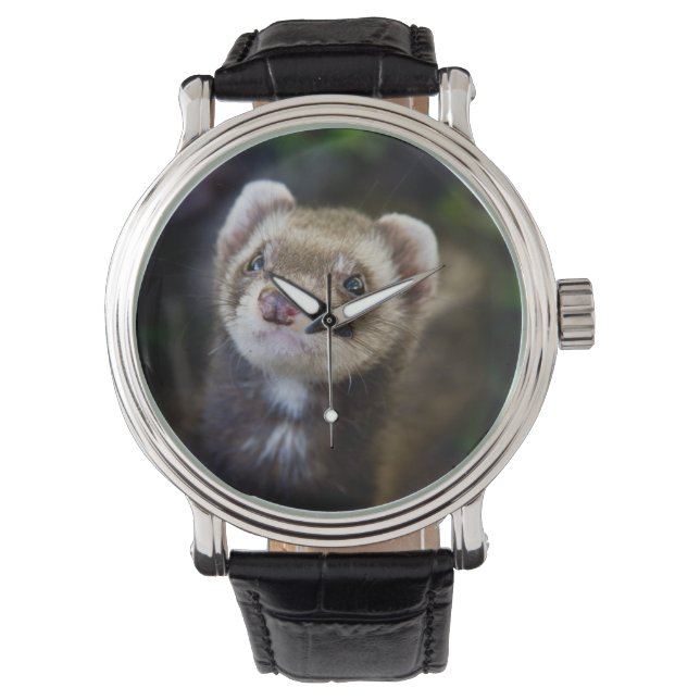 Ferret Watch (Front)