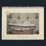 Ferrets Calendar - 4 -<br><div class="desc">Ferrets Calendar - 4 - This beautiful, classy and elegant calendar is the 4e edition from my Ferret Calendars collection. This Calendar is featuring Nahum, Lil Bear, Doodle in their sweet moment of ferret life. This calendar is a great way to have 12 images of my Fine Art Ferrets photography....</div>