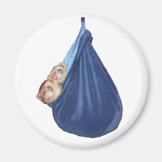 Ferrets Dans Un Magnet De Sac Dormir