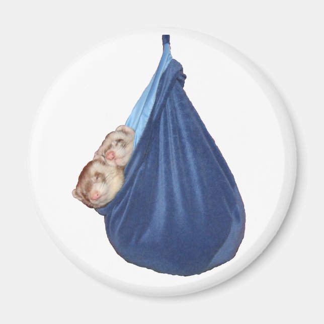 Ferrets Dans Un Magnet De Sac Dormir (Devant)