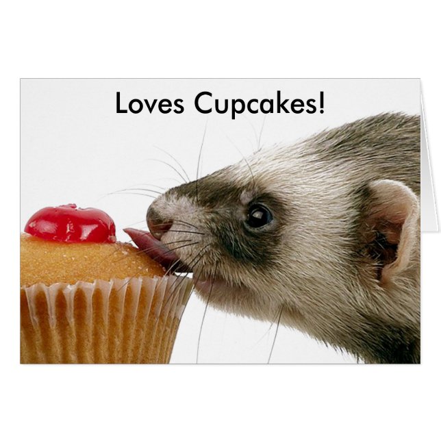 Ferrets Love Cupcakes (Devant horizontal)
