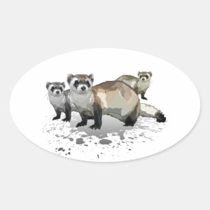 Ferrets Oval Sticker