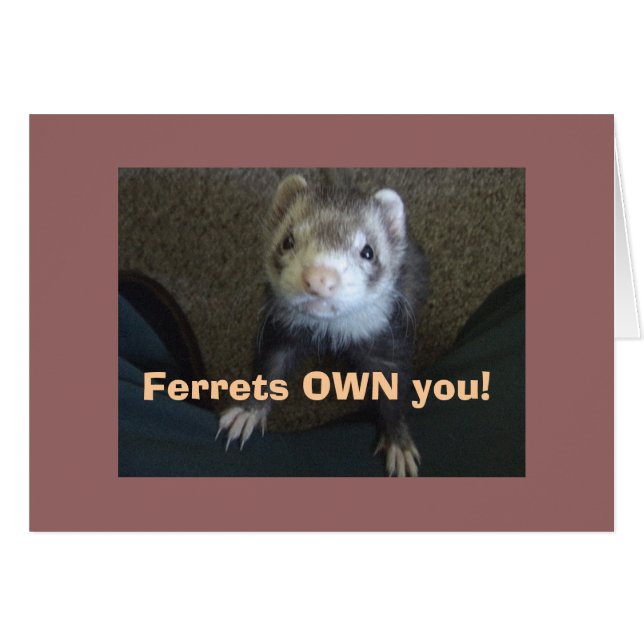 Ferrets Own You! (Front Horizontal)