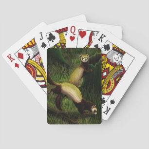 Ferrets playing cards