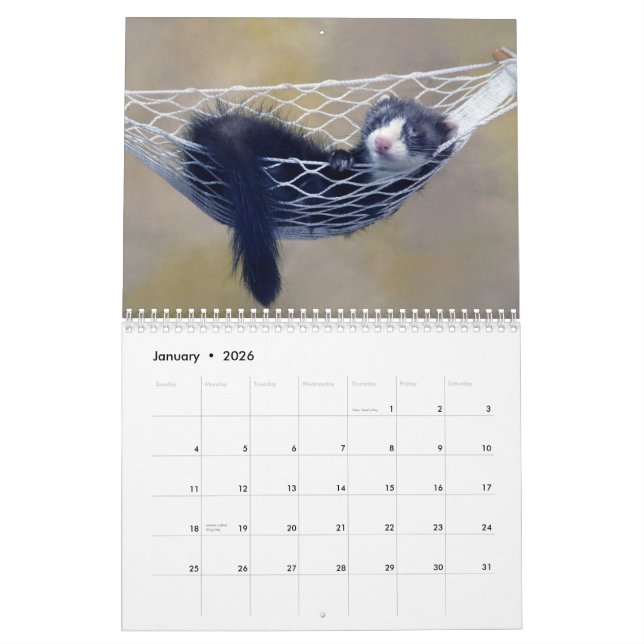 Ferrets Wall Calendar (Jan 2026)