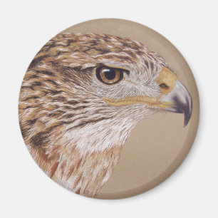 Ferruginous Hawk Magnet