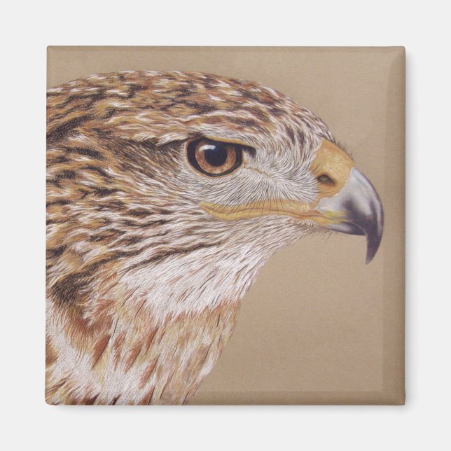 Ferruginous Hawk Magnet (Front)