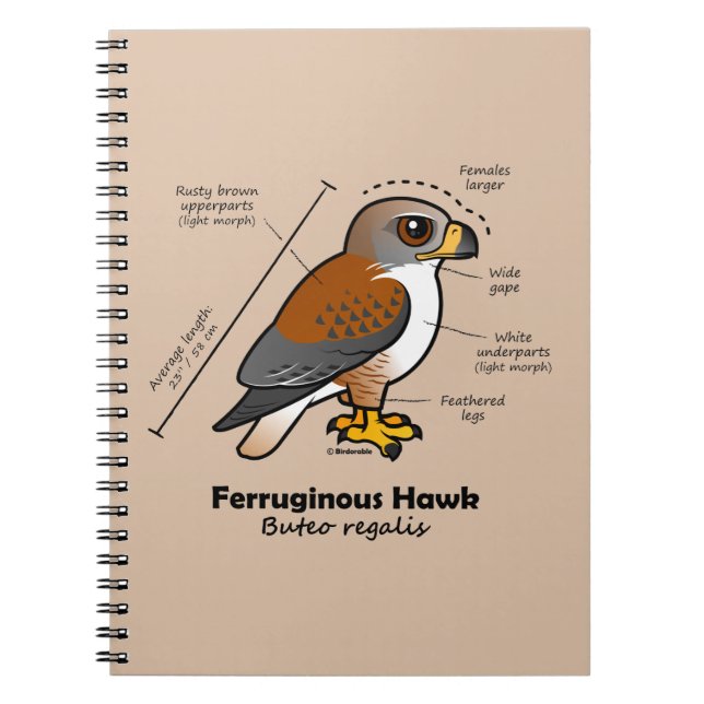 Ferruginous Hawk Statistics Notebook (Front)