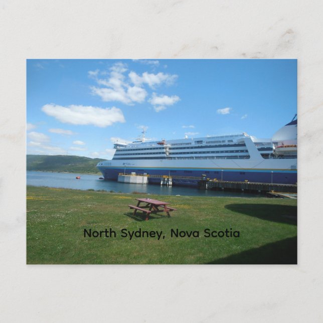 Ferry at North Sydney Postcard (Front)