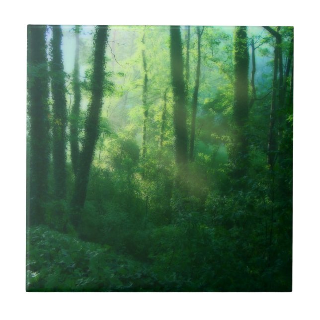 Fertility Decorative Tile (Front)