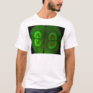 Fertilized frog egg T-Shirt