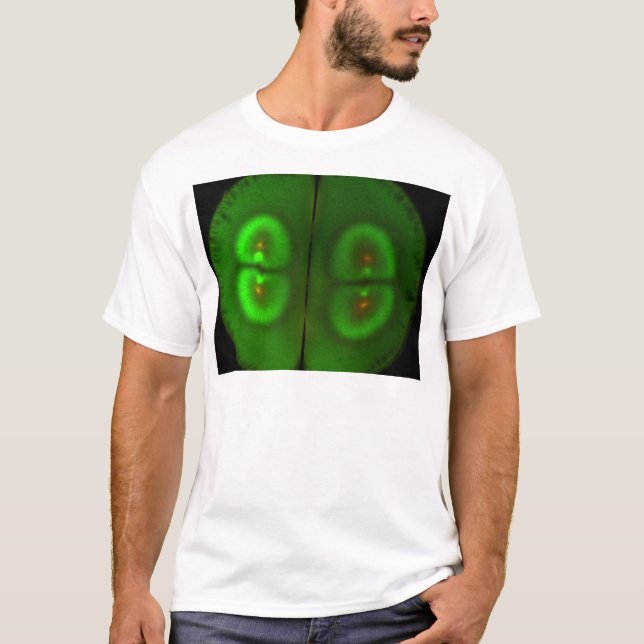 Fertilized frog egg T-Shirt (Front)