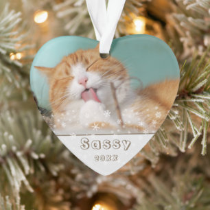 Festif Chat Pet Keepsaké photo Noël
