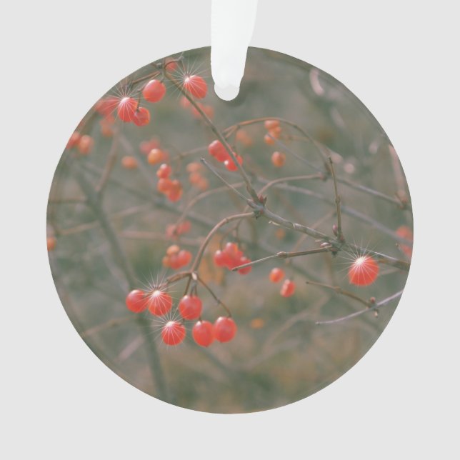 Festif Rouge Flambant Berries Nature Photo (devant)
