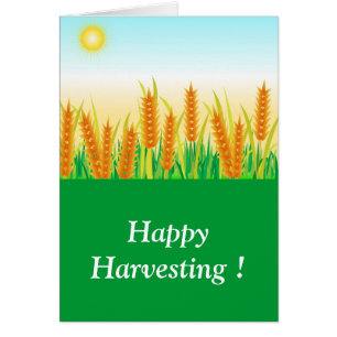 Festival de récolte