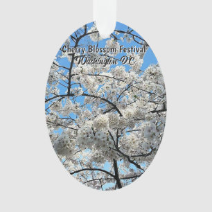 Festival des fleurs de cerisier Washington D.C. So