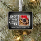 Festive Barks | Pet Photo First Christmas