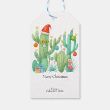 Festive Christmas Cactus with Santa Hat & Ornament