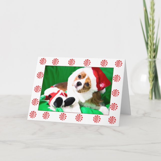 Festive Christmas Cavalier King Charles Puppy Card (Front)