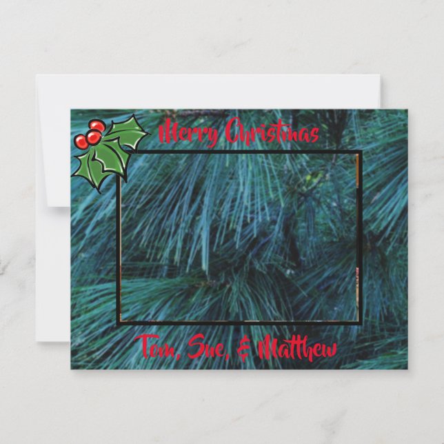 Festive Christmas classic rustic holly leaves pine Card (Front)