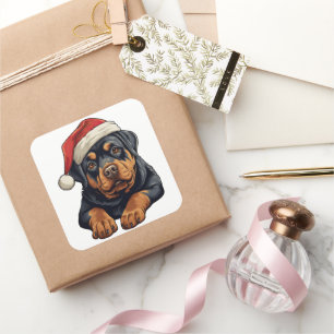 Festive Christmas Rottweiler Square Sticker