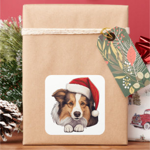 Festive Christmas Shetland Sheepdog  Square Sticker