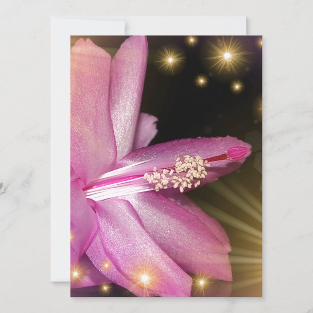 festive coloured flower pattern (Front)