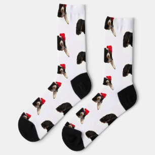 Festive & cute bernedoodle wearing a Santa hat Socks