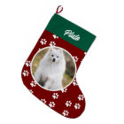 Festive Cute Dog Pet Photo