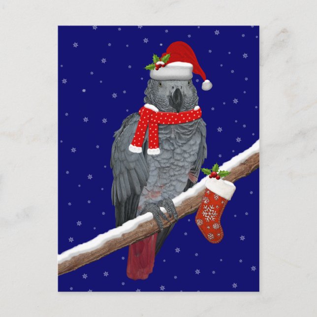 Festive Feathers Postcard (Front)