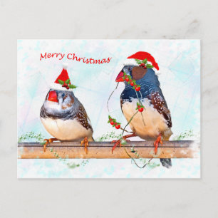 Festive Finches Postcard