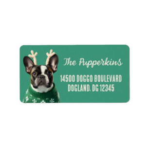 Festive French Bulldog Return Address Label