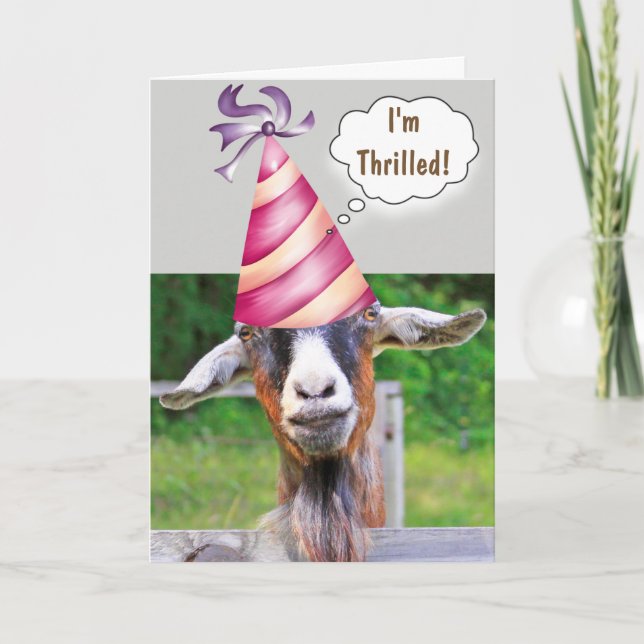 Festive Goat Birthday Card (Front)