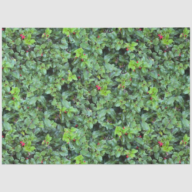 Festive Green Holly Berry Christmas Tissue Paper (Front)
