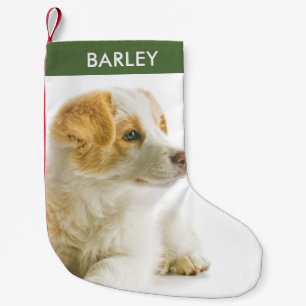 Festive Holiday Dog Photo Pet Picture Small Christmas Stocking