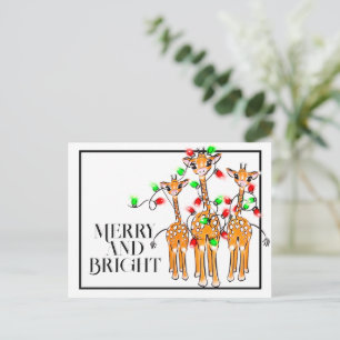 Festive holiday giraffes red green twinkle light postcard
