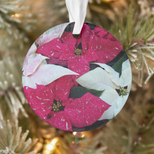 Festive Holiday Poinsettias Floral Ornament