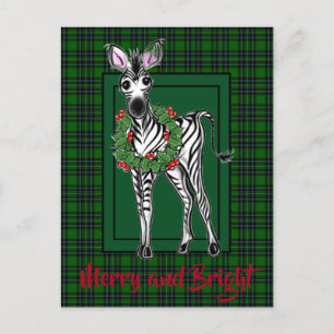 Festive Holiday Zebra drawing green plaid Postcard