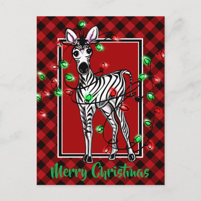 Festive Holiday Zebra Holly wreath red  plaid  Postcard (Front)