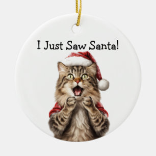Festive Kitty Cat Ornament