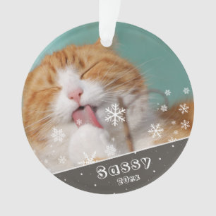 Festive Pet Cat Photo Keepsake & Christmas Ornament