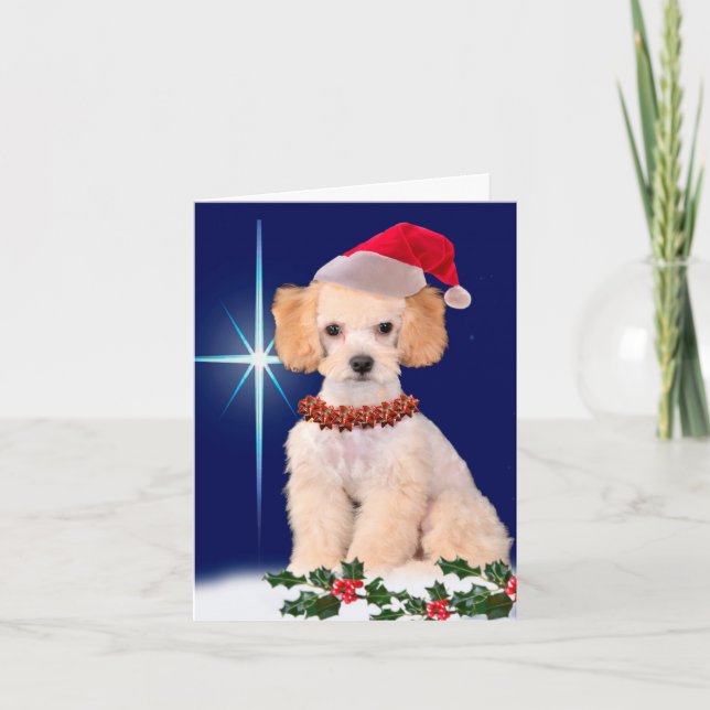 Festive Poodle Greeting Card (Front)