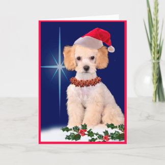 Festive Poodle Holiday Greeting Card